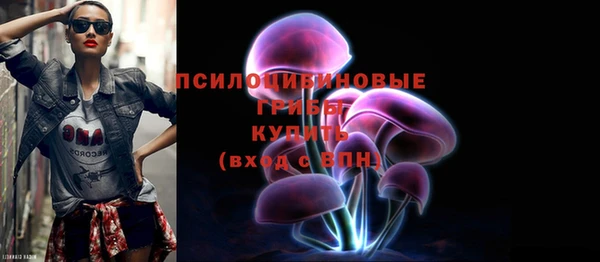 хмурый Армянск