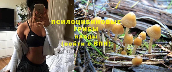 хмурый Армянск