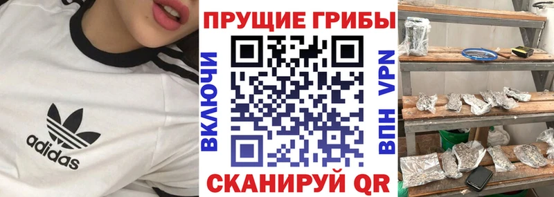 наркошоп  Козельск  Псилоцибиновые грибы Magic Shrooms 